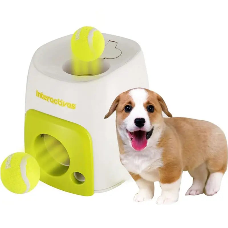 SmartFetch Interactive Dog Tennis Ball Launcher, Plastic, 16 x 16 x 20 cm