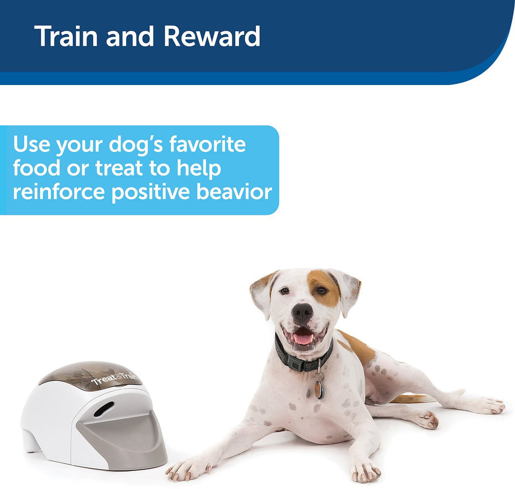 PetSafe Treat & Train Remote Treat Dispensing Dog Training System With Remote And Target Wand