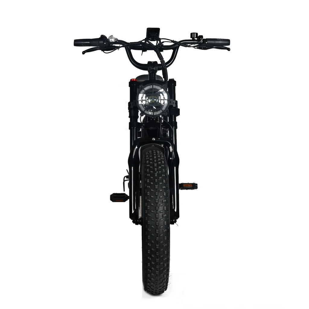 Electric Mountain Bike For Adults With 20 x 4.0 Fat Tires, 1000W Motor, 48V 20Ah Removable Battery, 45MPH Speed, 7-Speed
