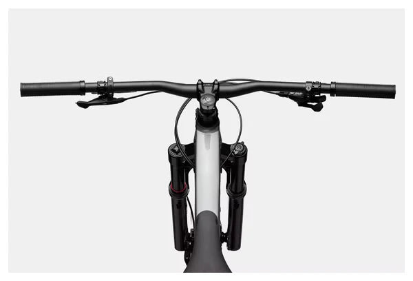 Cannondale Habit 3 29 in SRAM NX Eagle 12-Speed Grey Mountain Bike
