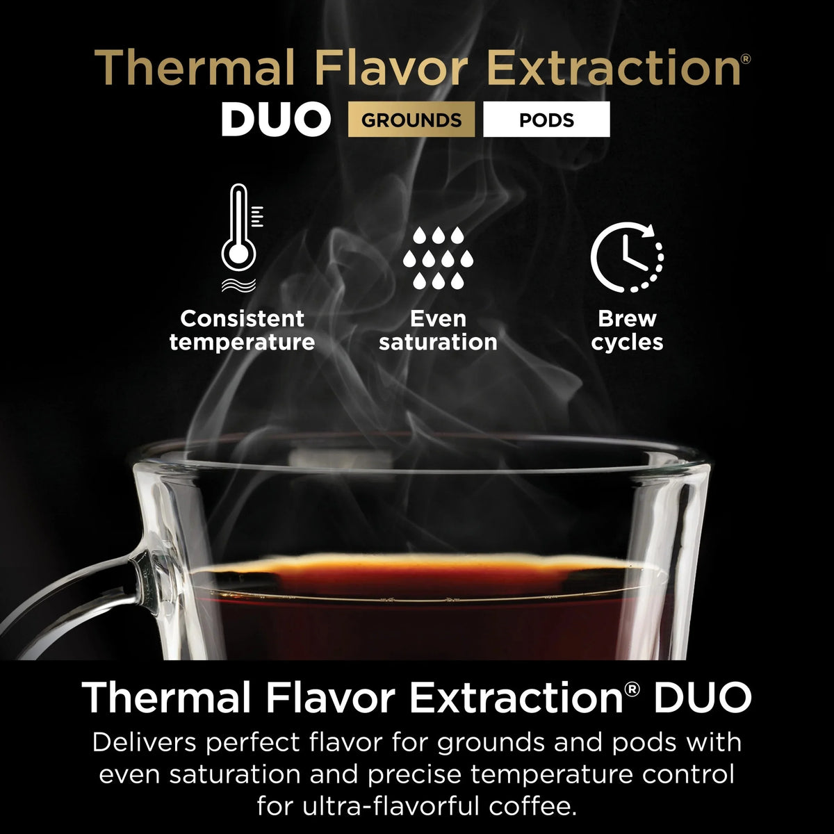 Ninja DualBrew Hot & Iced Coffee Maker, Single-Serve And 12-Cup Drip - CFP101