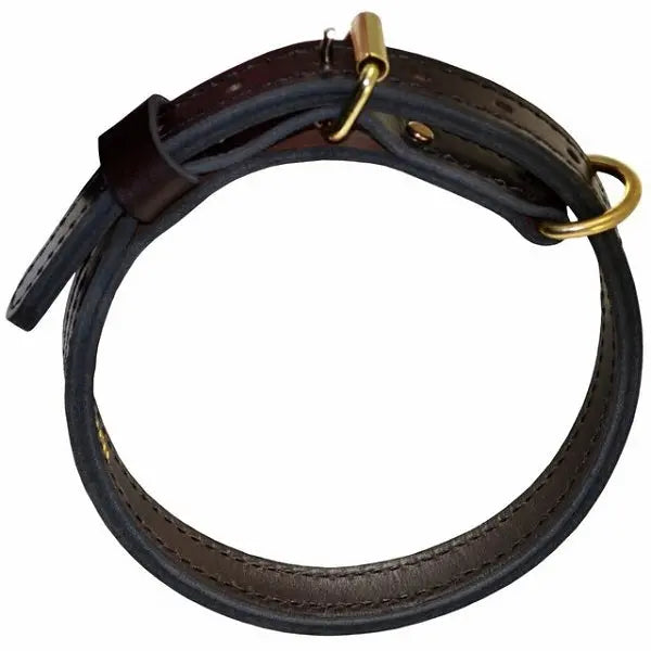 Ray Allen Premier Leather K9 Collar, Brown, English Rein Leather, Brass Hardware, 1 Inch Wide
