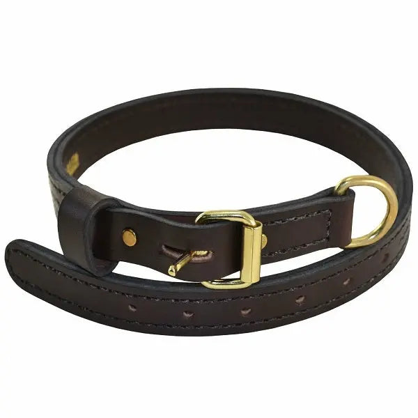 Ray Allen Premier Leather K9 Collar, Brown, English Rein Leather, Brass Hardware, 1 Inch Wide